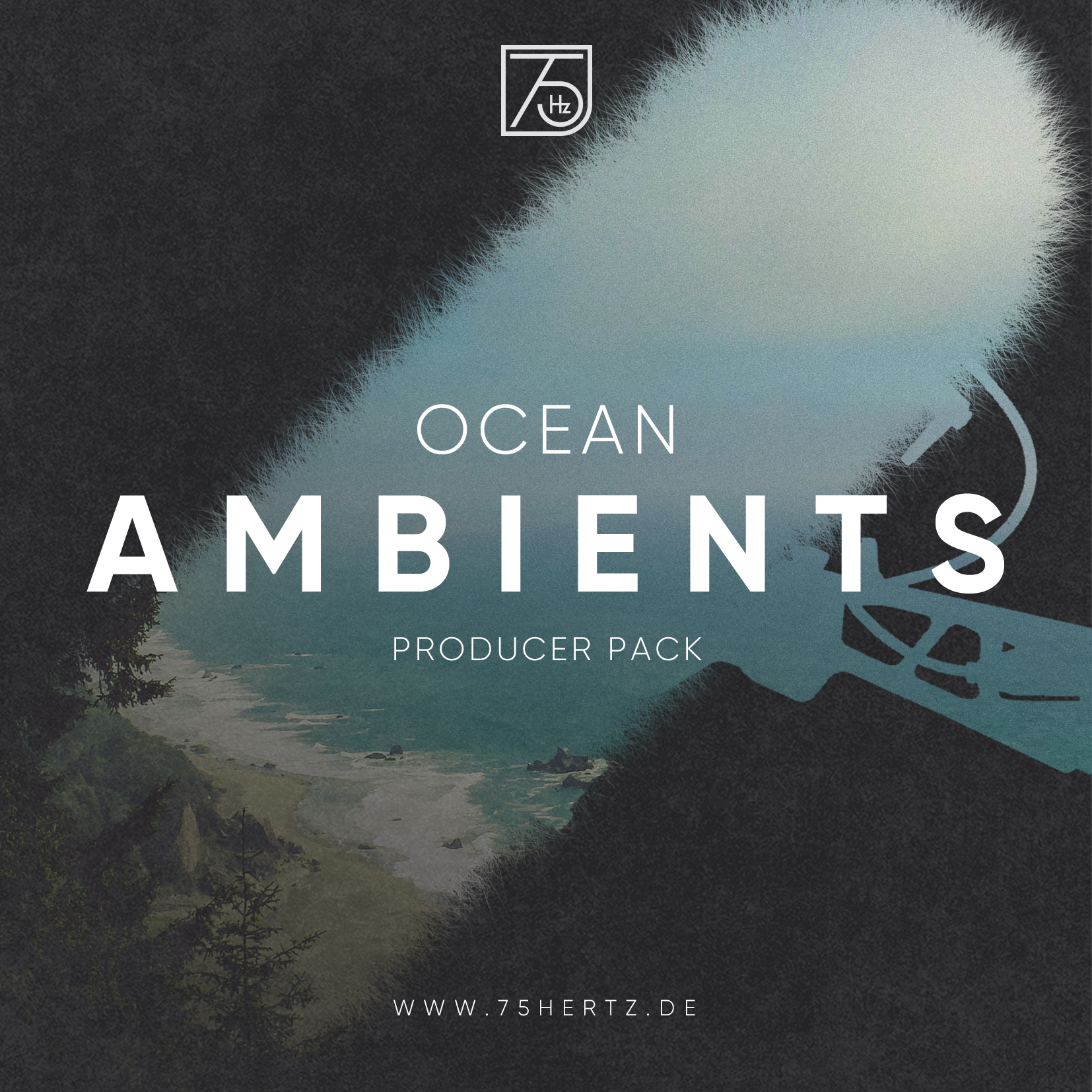 Read more about the article Ocean Ambients – Producer Pack​